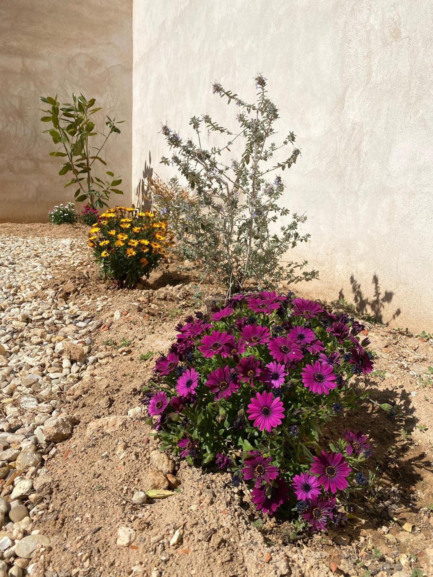 Pedro Muñoz La Mancha Suites Casa Rural מראה חיצוני תמונה